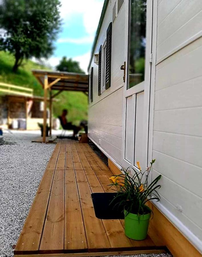 Lexi Zen House Διαμέρισμα Kamnik Εξωτερικό φωτογραφία